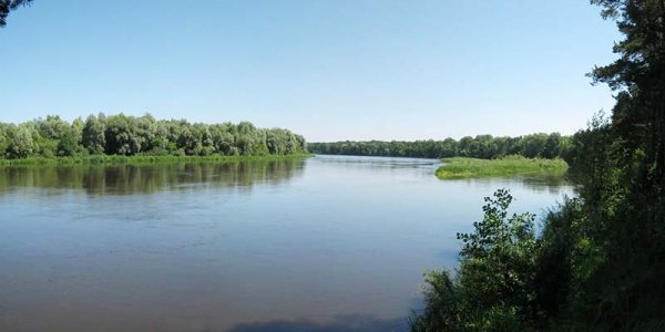 На берегу Немана нашли 90 тысяч пачек бесхозных сигарет