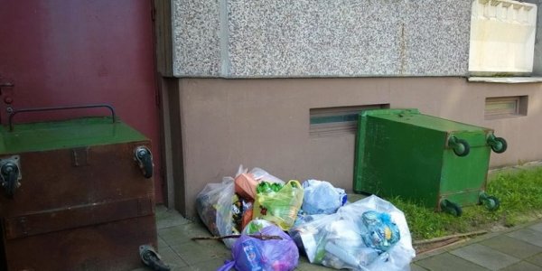 Лидчане не желают выносить мусор в контейнеры и сваливают пакеты у входа в подъезд