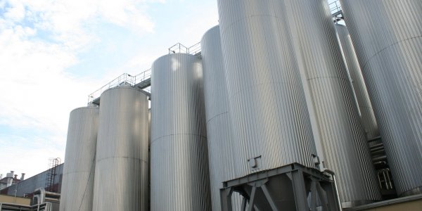 В Лиде прошёл LIDBEER Фестиваль хмеля, солода и воды