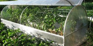 Парник для дачи всепогодный – купить недорого с официальной гарантией качества в еs-stroy.ru