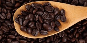 Как правильно определить вид и природу происхождения кофе в зернах