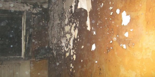 На пожаре в Лиде спасли одного и эвакуировали еще шесть человек