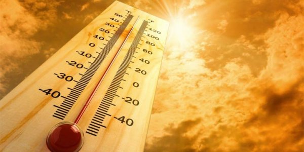 Раз — и сразу лето. В воскресенье в Лиде 10 градусов тепла