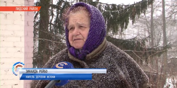 Бешеные лисы повадились на частные подворья в Лидском районе