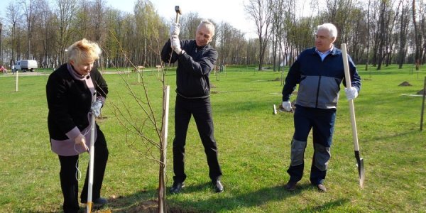 Заместитель главы Администрации Президента принял участие в субботнике у себя на «малой родине» - в Лиде