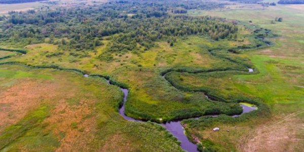 Уникальное болото в Лидском районе уничтожат ради торфа