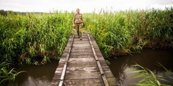 Уникальное болото в Лидском районе уничтожат ради торфа