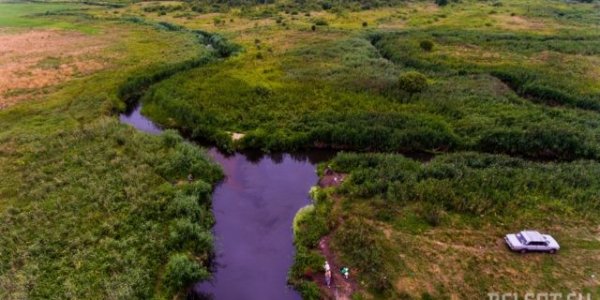 Уникальное болото в Лидском районе уничтожат ради торфа