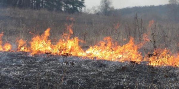 Водитель обнаружил обгоревший труп в Лидском районе