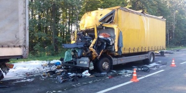 В результате ДТП под Гомелем 28-летний водитель, житель Лиды, от полученных травм умер на месте происшествия