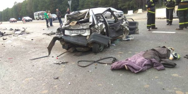 На трассе М6 фура вытолкнула на встречку Skoda: один человек погиб, два пострадали