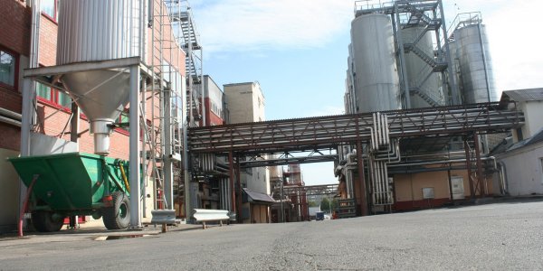 Беларусы выбрали, какой сорт крафтового пива будут варить в Лиде