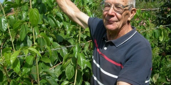 Виктор Гузенко из Лиды выращивает актинидию. Киви по-белорусски
