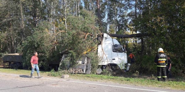 Фура, которая перевозила строительные леса из Лиды в Слоним вылетела в кювет