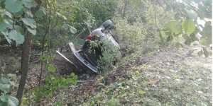 Под Новогрудком женщина без прав на Jeep, объезжая упавшее дерево, вылетела в кювет: погиб пассажир