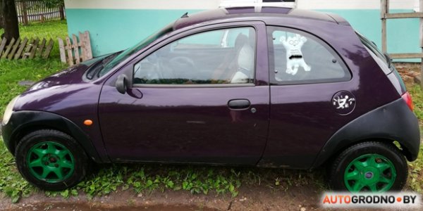 Новый владелец Ford Ka приехал в Гродно, переоформил автомобиль и оплатил штраф