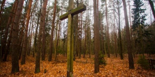 Под Лидой местные активисты нашли неизвестное захоронение повстанцев