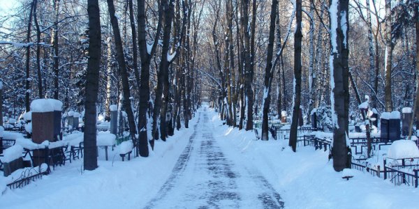 Житель Лиды отвез бывшую жену на кладбище и угрожал пристегнуть к дереву наручниками