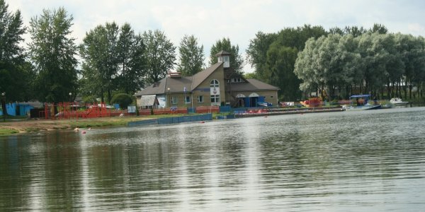 В Лиде спасатели ОСВОД достали из воды провалившуюся под лед собаку