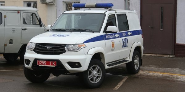 В Лиде девушка попала под автомобиль, перебегая улицу на красный свет (Видео)