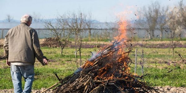 В Лидском районе при сжигании мусора на приусадебном участке мужчина получил ожоги