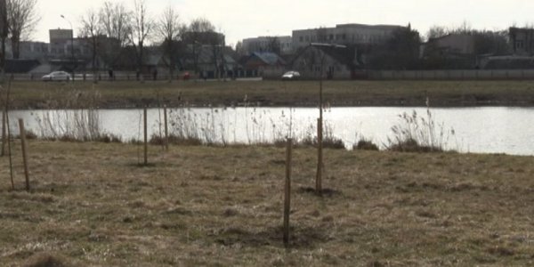 В Лидском районе проходит добровольная экологическая акция