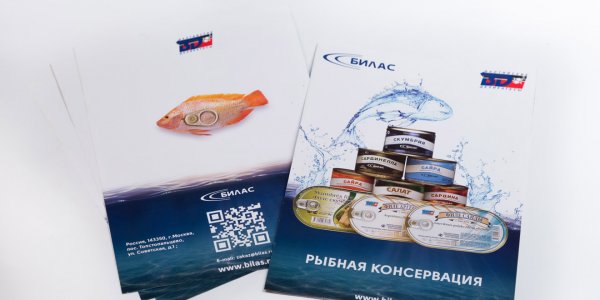Разработка рекламных буклетов