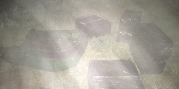 Лидские пограничники задержали контрабанду из 4000 пачек сигарет
