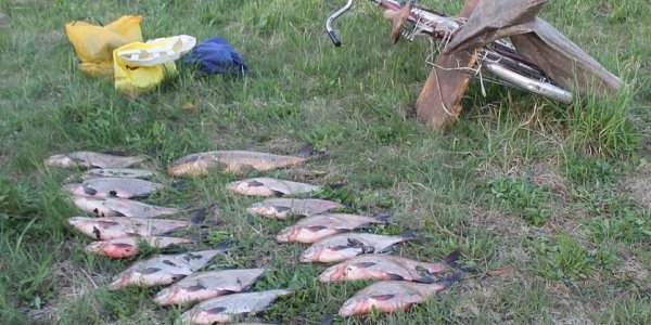 Житель Лидского района незаконно порыбачил на 4000 $