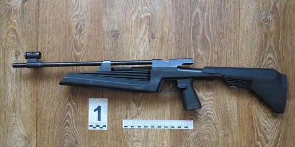 В Лиде 3-летняя девочка выстрелила в лоб ровеснику из пневматики