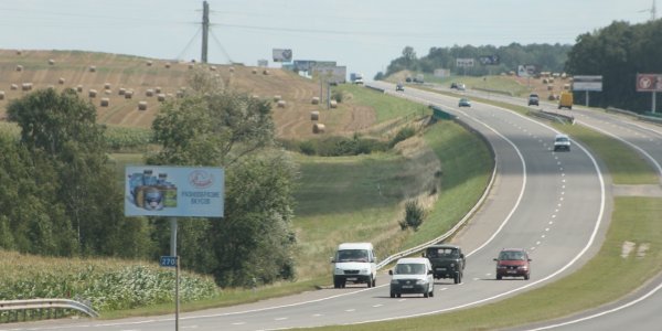 На М6 в Лидском районе появятся специальные дорожные знаки, отпугивающие диких животных