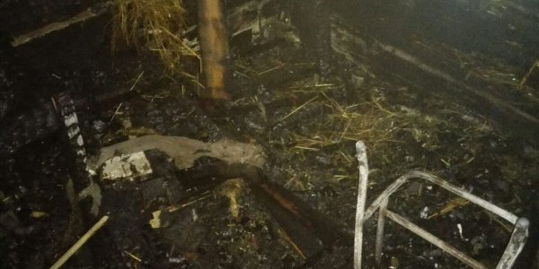 В Лидском районе при пожаре погибли два человека