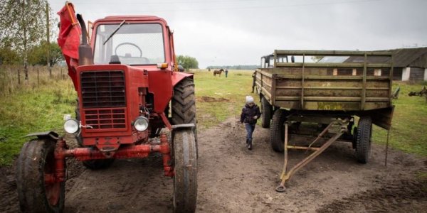 Под Лидой чиновник на пенсии создал ферму. Доход 500$ в день.
