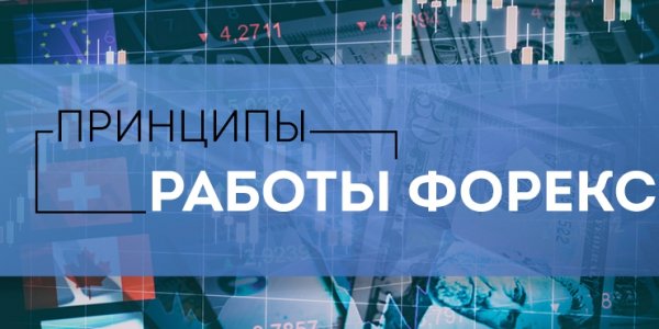 Работа на рынке Форекс и прогнозирование