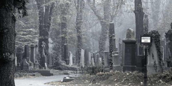 Что нужно знать о материалах для памятников - советы от Ритуал Сити