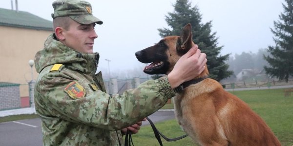 Военнослужащий Лидского пограничного одержал победу в международных соревнованиях по кинологическому биатлону