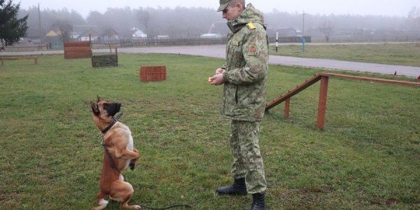 Военнослужащий Лидского пограничного одержал победу в международных соревнованиях по кинологическому биатлону