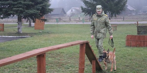 Военнослужащий Лидского пограничного одержал победу в международных соревнованиях по кинологическому биатлону