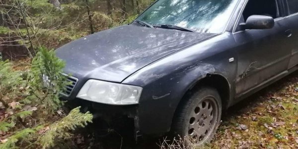 Лидские пограничники со стрельбой останавливали автомобиль у границы